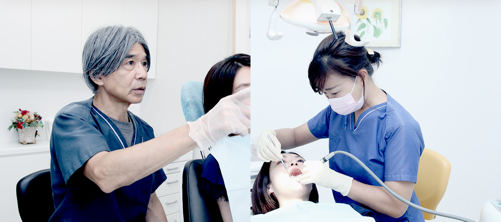 歯と心を癒す新しい歯科治療を提供します